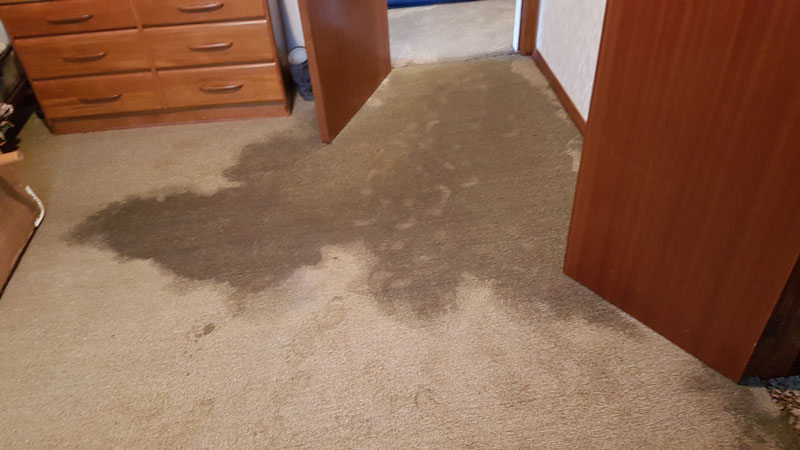 Carpet Cleaning Services