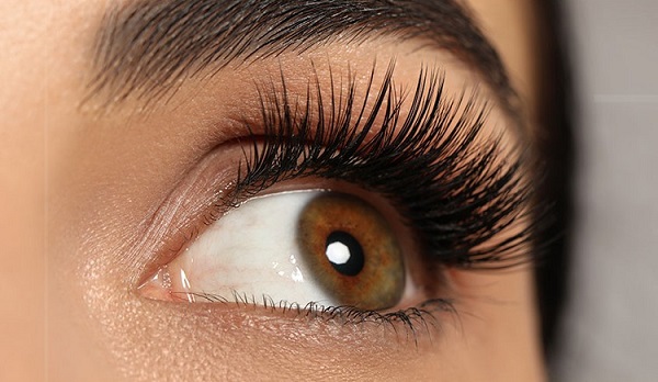 Lashes Suppliers