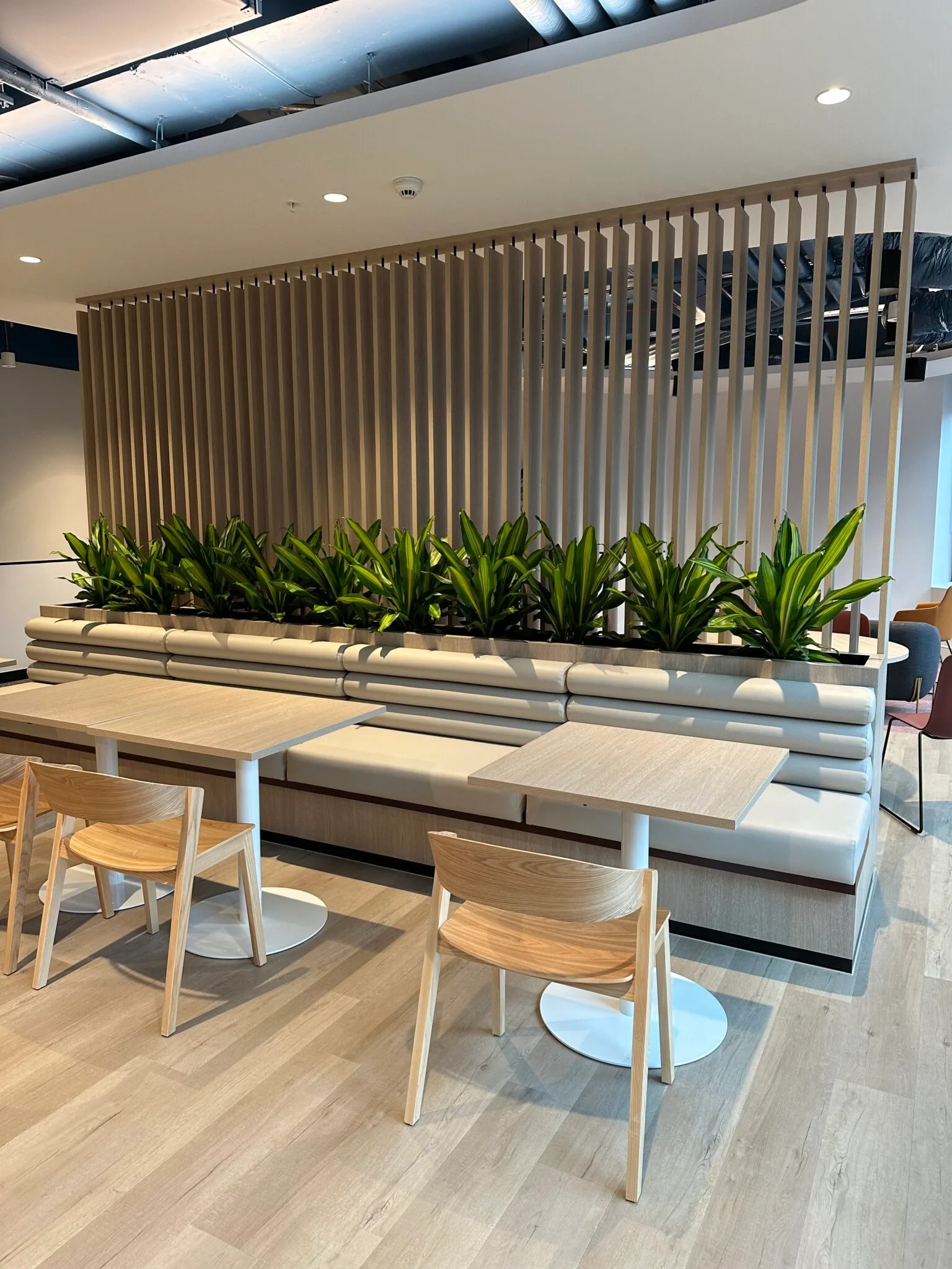 indoor plant pots melbourne